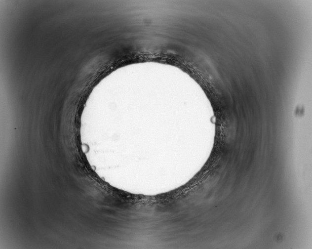 X0000103940961200810101412