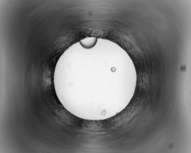 X0000103940962200810101412