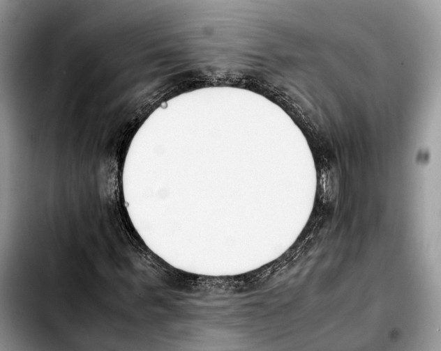 X0000103940963200810101412