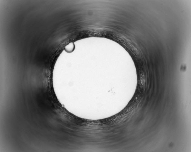 X0000103940964200810101412