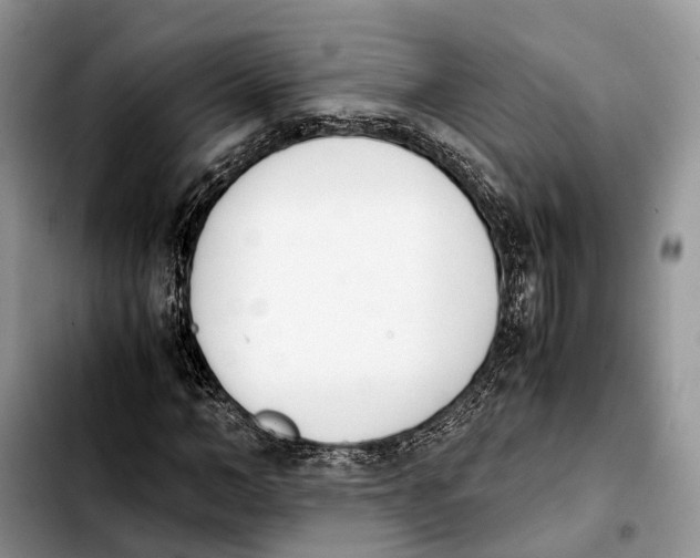 X0000103940966200810101412