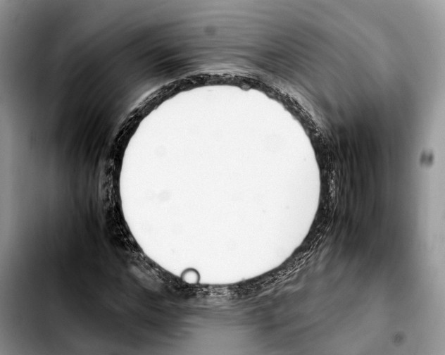 X0000103940968200810101412