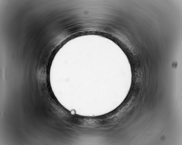 X0000103940969200810101412