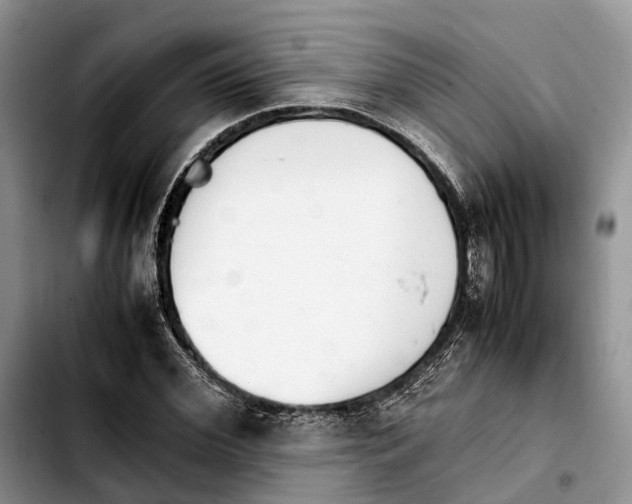 X0000103940972200810101412