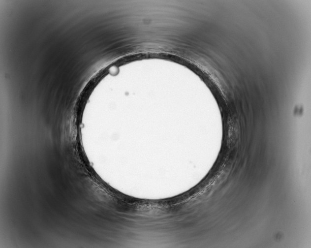 X0000103940973200810101412