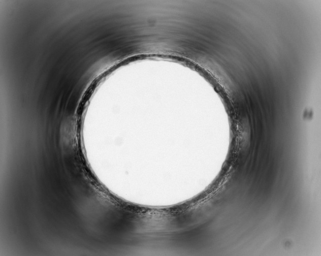 X0000103940974200810101412