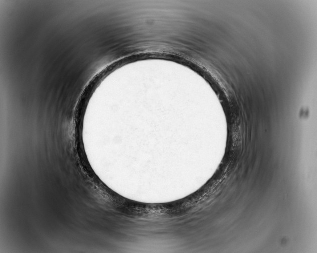 X0000103940975200810101412