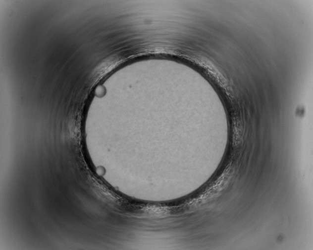 X0000103940977200810101412