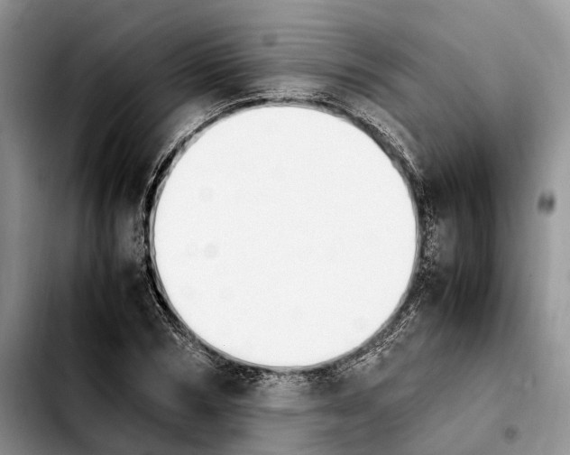 X0000103940978200810101412