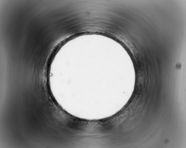 X0000103940979200810101412