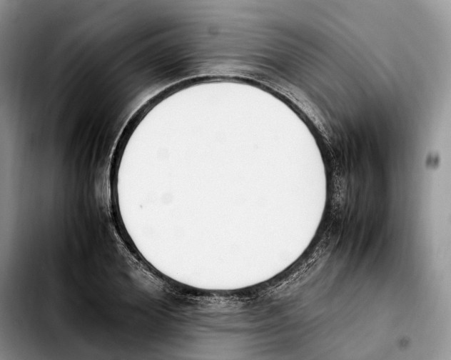 X0000103940980200810101412