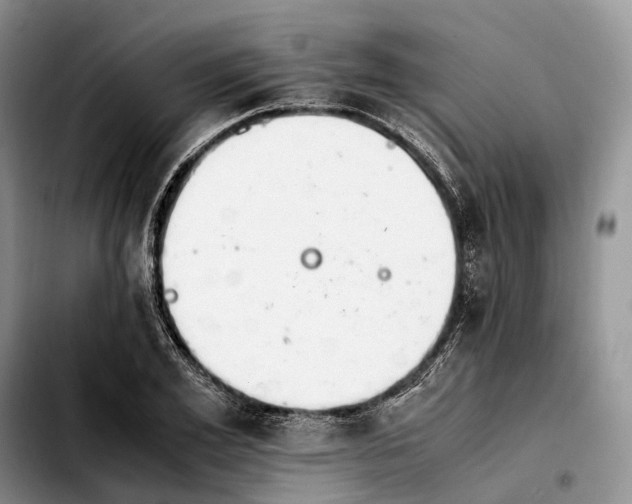 X0000103940981200810101412