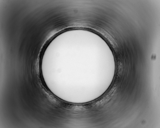 X0000103940982200810101412