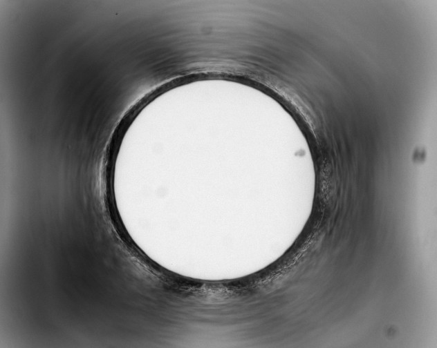 X0000103940983200810101412