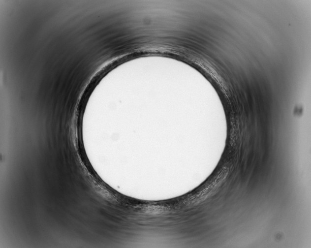 X0000103940984200810101412