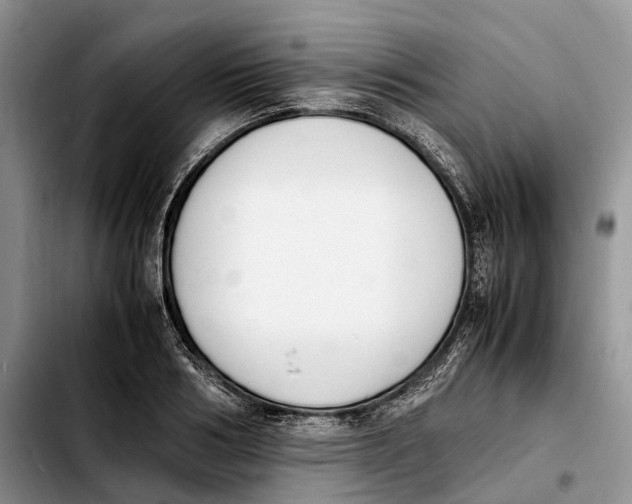 X0000103940986200810101412