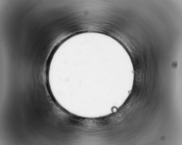 X0000103940987200810101412