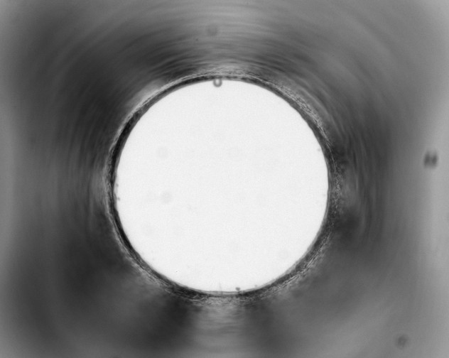 X0000103940989200810101412