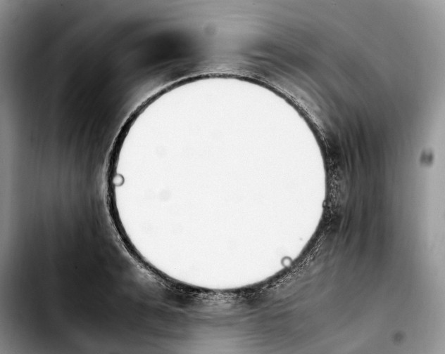 X0000103940991200810101412