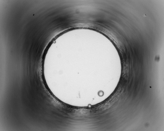 X0000103940992200810101412