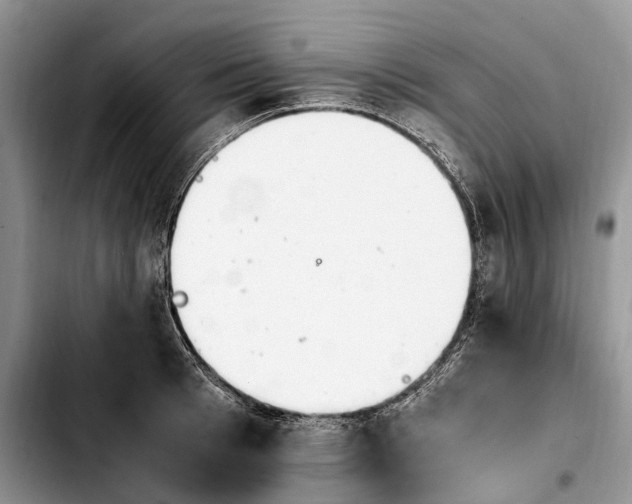 X0000103940993200810101412