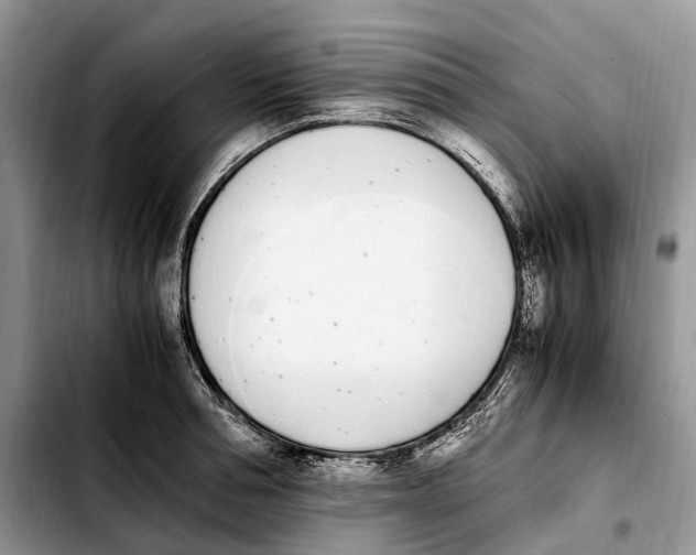 X0000103940994200810101412