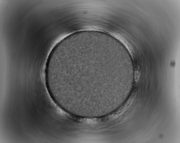 X0000103940995200810101412