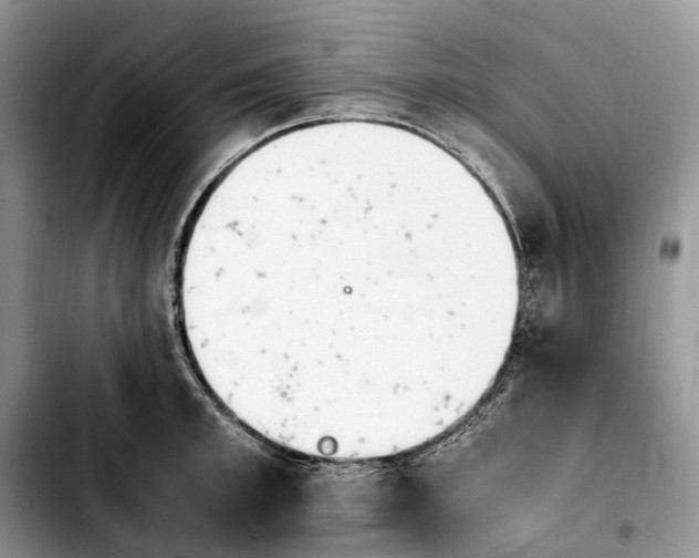 X0000103940997200810101412