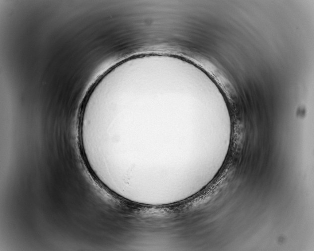 X0000103940998200810101412