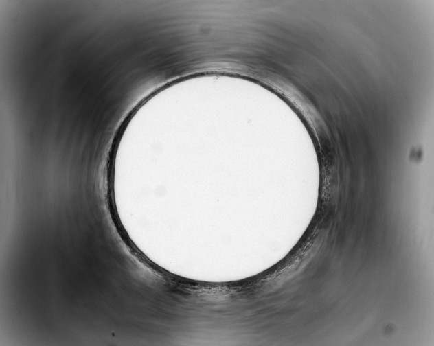 X0000103940999200810101412