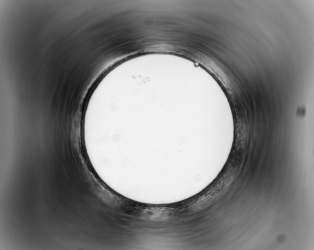 X0000103941000200810101412