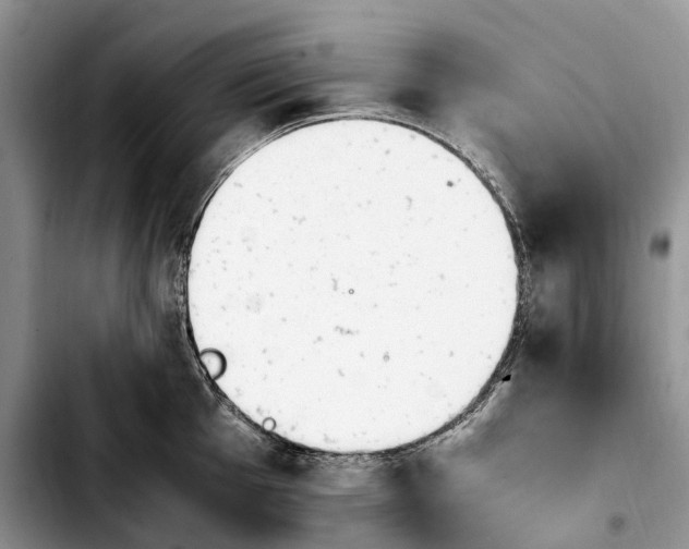 X0000103941001200810101412