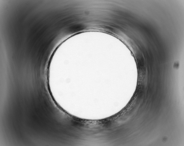 X0000103941003200810101412