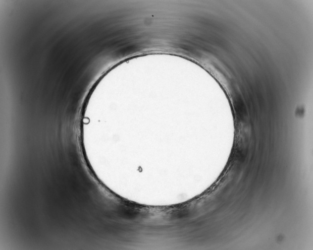 X0000103941005200810101412