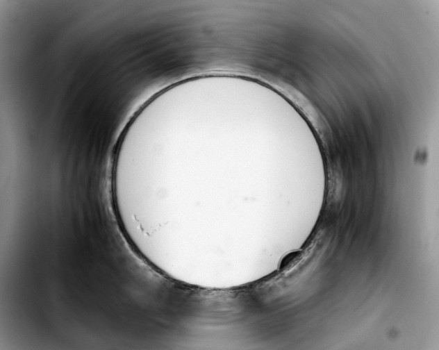 X0000103941006200810101412