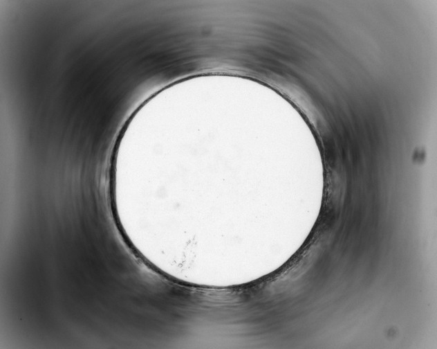 X0000103941007200810101412