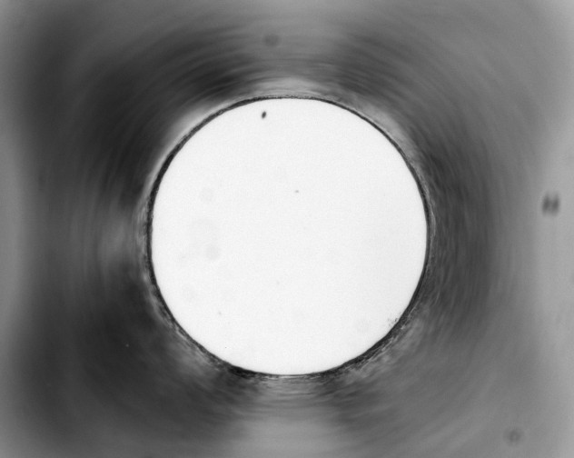 X0000103941008200810101412