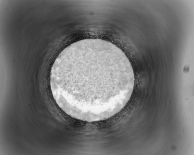 X0000103941009200810101411