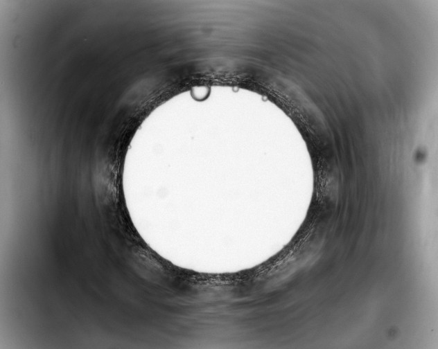 X0000103941010200810101411