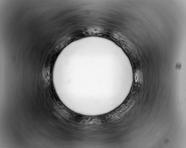 X0000103941011200810101411