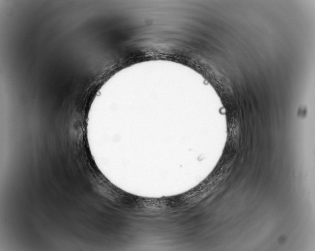 X0000103941012200810101411