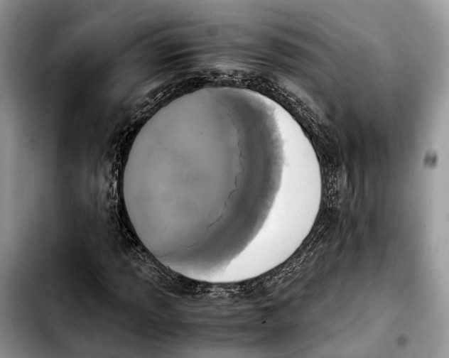 X0000103941013200810101411