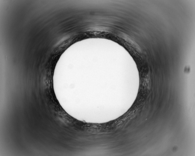 X0000103941014200810101411