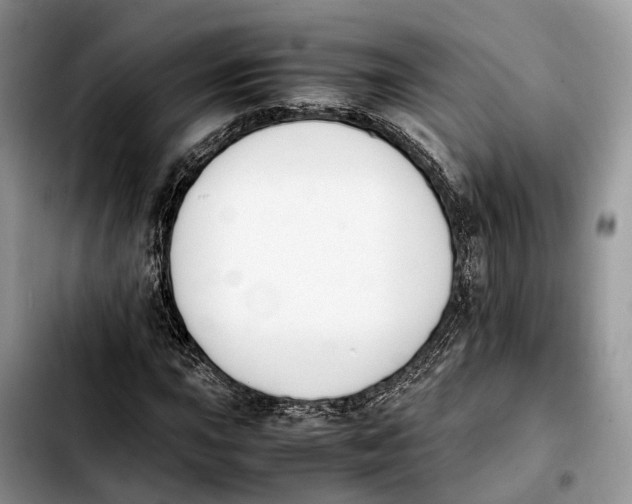 X0000103941015200810101411