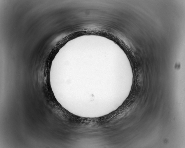 X0000103941016200810101411