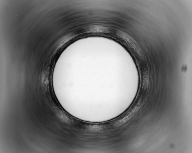 X0000103941017200810101411