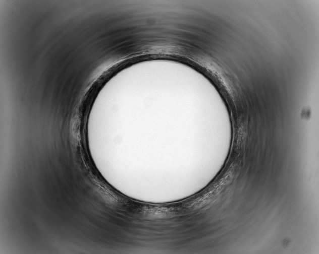 X0000103941019200810101411