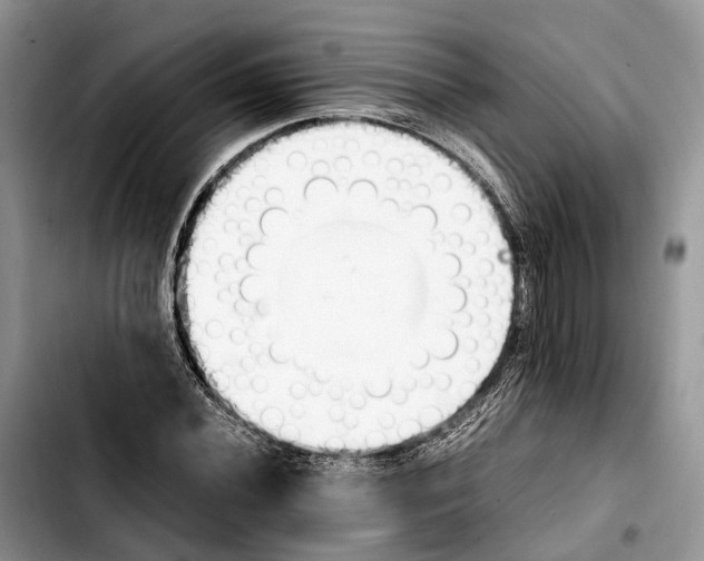 X0000103941020200810101411