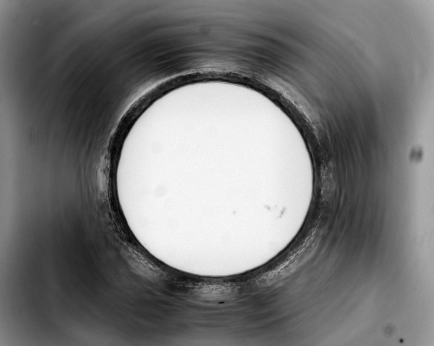 X0000103941021200810101411