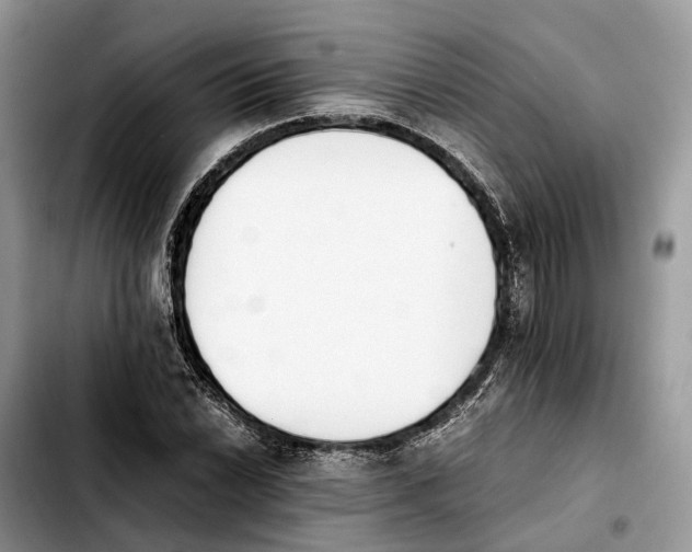 X0000103941022200810101411